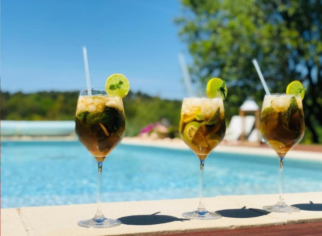 Les Prairies De Fenestrelle Spa & Piscine Au Calme Aubagne Exterior foto